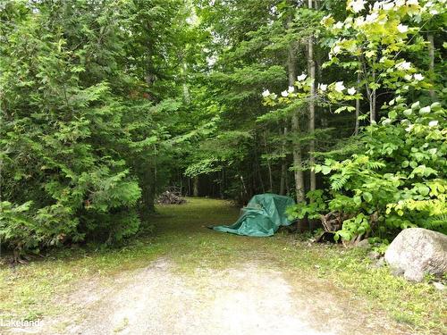 Lot 3 Plan M81 Champlain Road, Tiny, ON 