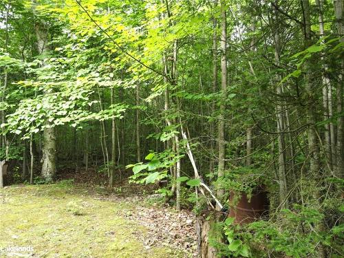 Lot 3 Plan M81 Champlain Road, Tiny, ON 