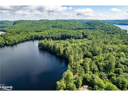 2401 Bear Lake Road, Dorset, ON - Outdoor With Body Of Water With View