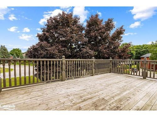 63 Bridge Street, Meaford, ON - Outdoor