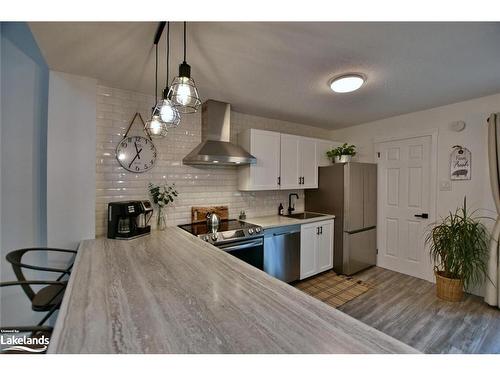 207 Escarpment Crescent, Collingwood, ON - Indoor Photo Showing Kitchen With Double Sink