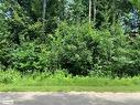 Lot 524 Tall Pines Drive Nw, Tiny, ON 