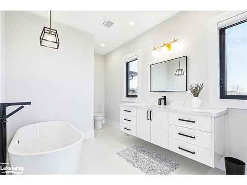 113 George Mcrae Road, Clarksburg, ON - Indoor Photo Showing Bathroom