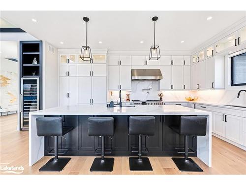 113 George Mcrae Road, Clarksburg, ON - Indoor Photo Showing Kitchen With Upgraded Kitchen