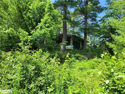 1124 Flanagan Trail, Gravenhurst, ON - Outdoor