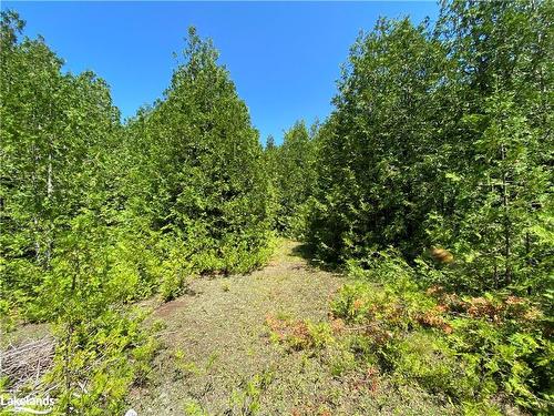 Part Lot 9 Concession  14 Osprey The Blue Mountains Townline, Grey Highlands, ON 