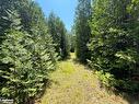 Part Lot 9 Concession  14 Osprey The Blue Mountains Townline, Grey Highlands, ON 