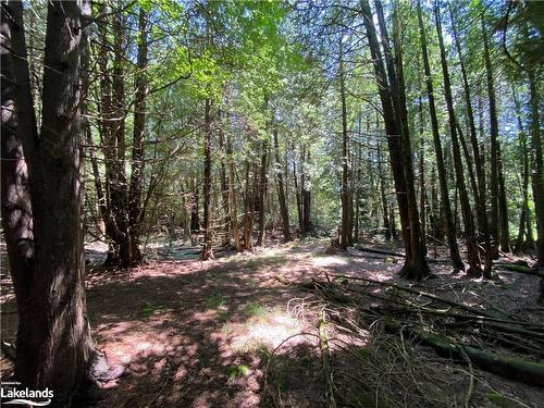 Part Lot 9 Concession  14 Osprey The Blue Mountains Townline, Grey Highlands, ON 