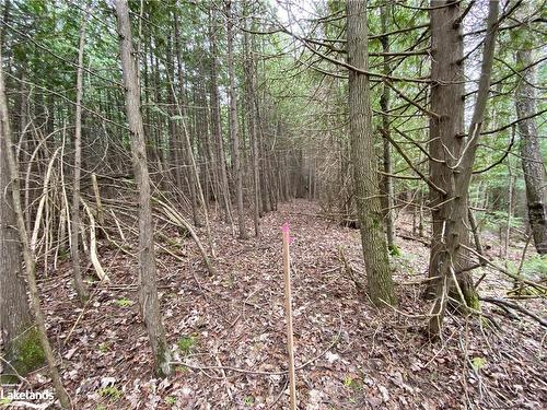 Part Lot 9 Concession  14 Osprey The Blue Mountains Townline, Grey Highlands, ON 