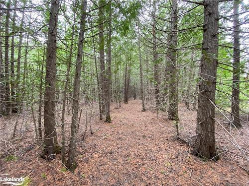 Part Lot 9 Concession  14 Osprey The Blue Mountains Townline, Grey Highlands, ON 