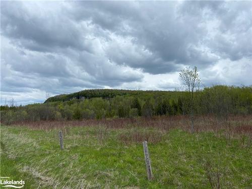 Part Lot 9 Concession  14 Osprey The Blue Mountains Townline, Grey Highlands, ON 