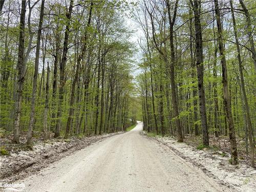 Part Lot 9 Concession  14 Osprey The Blue Mountains Townline, Grey Highlands, ON 