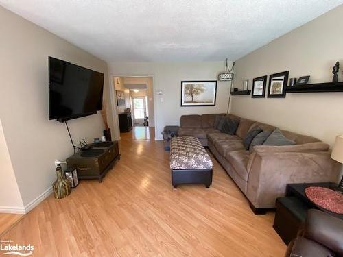 117 Beech Street, Brampton, ON - Indoor Photo Showing Living Room