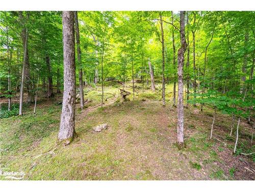 1270 Muskoka 10 Road, Port Sydney, ON - Outdoor