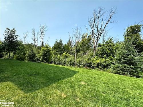 106-12 Beckwith Lane, The Blue Mountains, ON - Outdoor