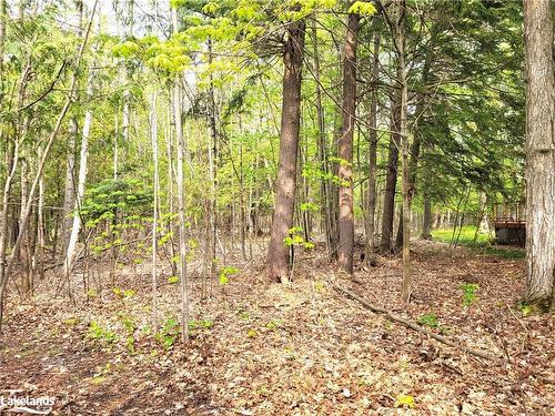 Lot 504 Seneca Crescent, Tiny, ON 