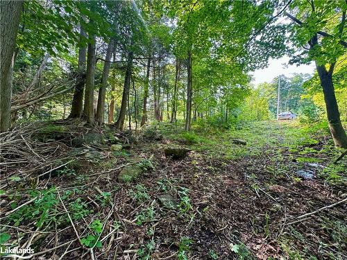 Lot 5 Highway 26, Meaford Municipality, ON 