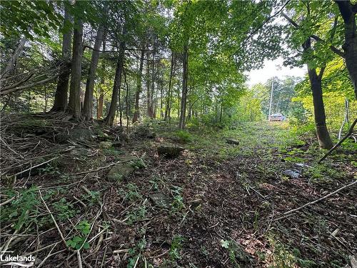 Lot 5 Highway 26, Meaford Municipality, ON 