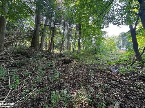 Lot 5 Highway 26, Meaford Municipality, ON 