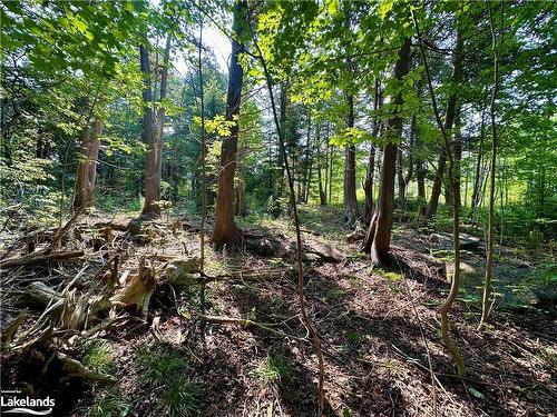 Lot 5 Highway 26, Meaford Municipality, ON 