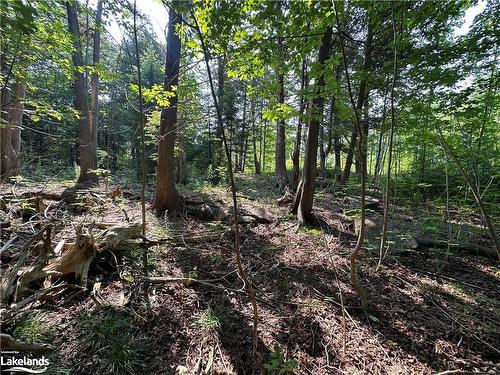 Lot 5 Highway 26, Meaford Municipality, ON 