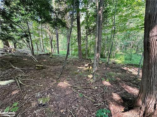 Lot 5 Highway 26, Meaford Municipality, ON 