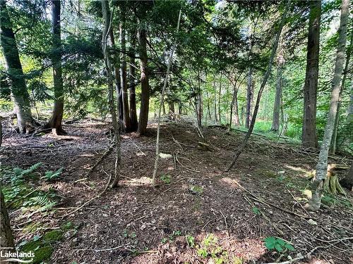 Lot 5 Highway 26, Meaford Municipality, ON 