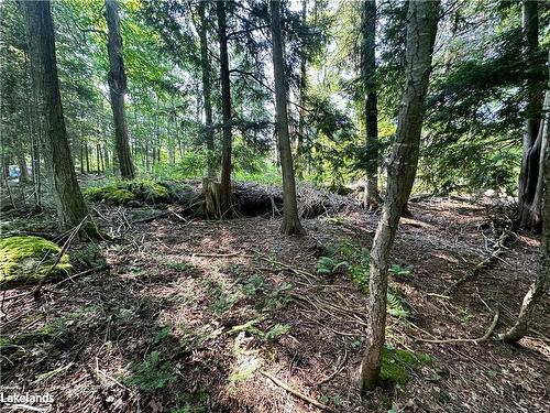 Lot 5 Highway 26, Meaford Municipality, ON 