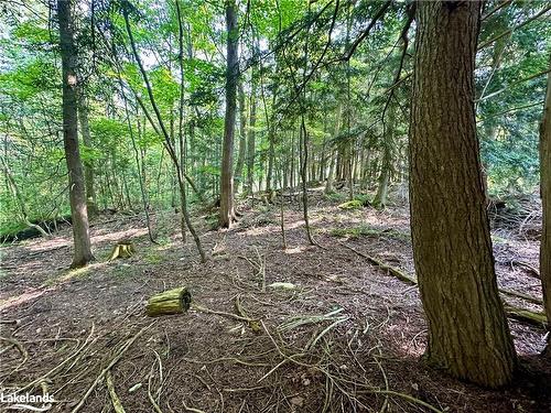 Lot 5 Highway 26, Meaford Municipality, ON 