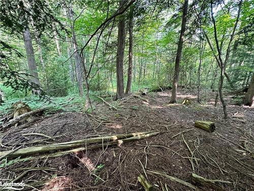 Lot 5 Highway 26, Meaford Municipality, ON 