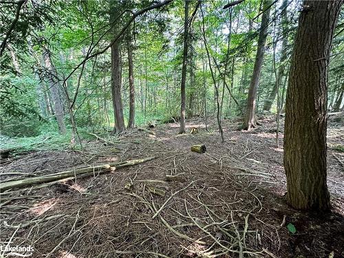 Lot 5 Highway 26, Meaford Municipality, ON 