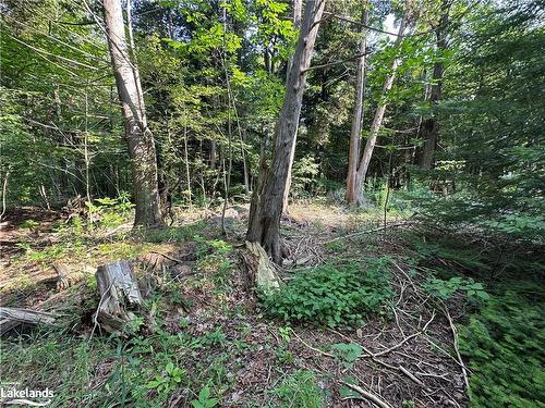 Lot 5 Highway 26, Meaford Municipality, ON 