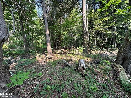 Lot 5 Highway 26, Meaford Municipality, ON 