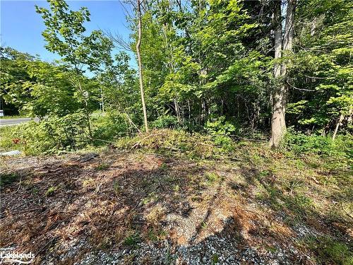 Lot 5 Highway 26, Meaford Municipality, ON 