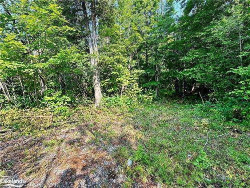 Lot 5 Highway 26, Meaford Municipality, ON 