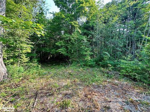 Lot 5 Highway 26, Meaford Municipality, ON 