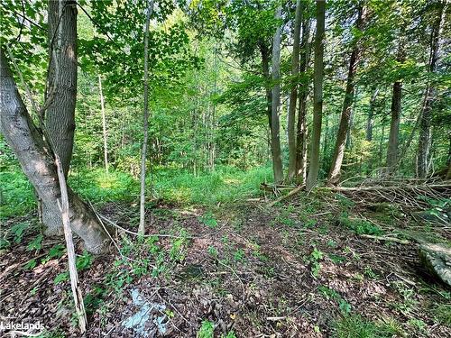 Lot 5 Highway 26, Meaford Municipality, ON 