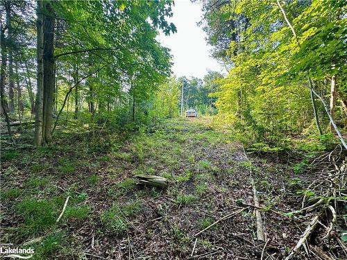 Lot 5 Highway 26, Meaford Municipality, ON 