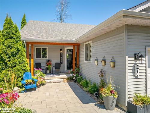 7 Bush Street, Collingwood, ON - Outdoor With Deck Patio Veranda