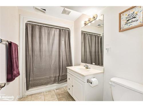 7 Bush Street, Collingwood, ON - Indoor Photo Showing Bathroom