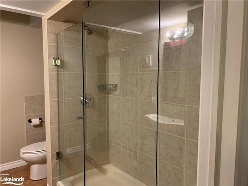 163 Lake Drive, The Blue Mountains, ON - Indoor Photo Showing Bathroom