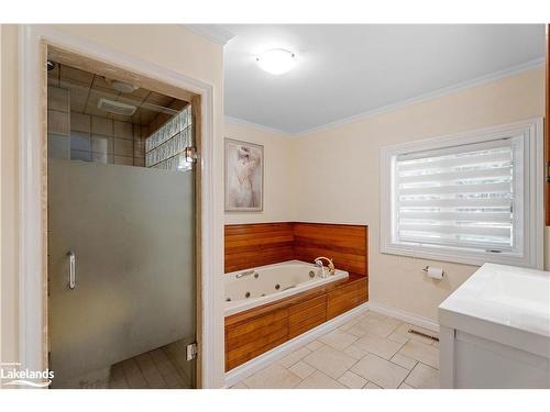 1006 Spring Lake Road, Dwight, ON - Indoor Photo Showing Bathroom