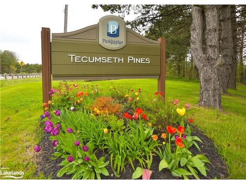 56 Tecumseth Pines Drive, New Tecumseth, ON - Outdoor