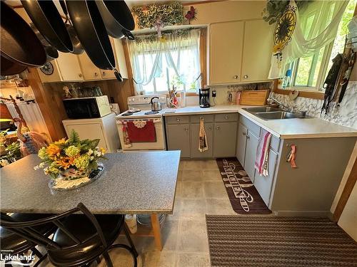 11643 522 Highway, Port Loring, ON - Indoor Photo Showing Kitchen With Double Sink