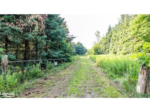 628190 15 Sideroad, Mulmur, ON 