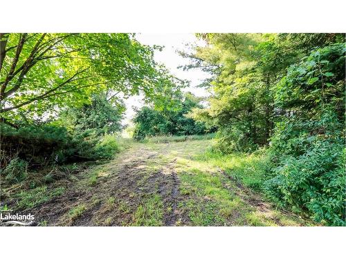 628190 15 Sideroad, Mulmur, ON 