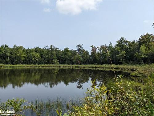 304399 South Line, Priceville, ON - Outdoor With Body Of Water With View