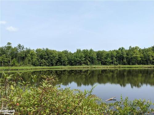 304399 South Line, Priceville, ON - Outdoor With Body Of Water With View