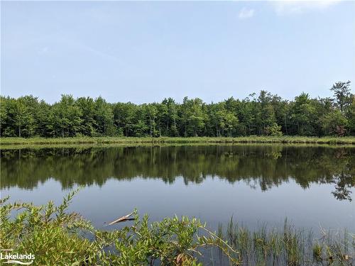 304399 South Line, Priceville, ON - Outdoor With Body Of Water With View