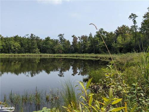 304399 South Line, Priceville, ON - Outdoor With Body Of Water With View